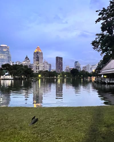 Evening view of a city skyline reflected in a calm lake, with a grassy foreground and trees on the right.