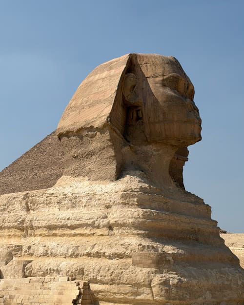 Side view of the Great Sphinx of Giza with a weathered head and layered sandstone body under a clear blue sky.
